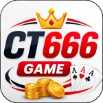 Ct666