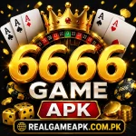 6666 game