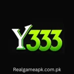 Y333 Game