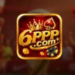 6PPP